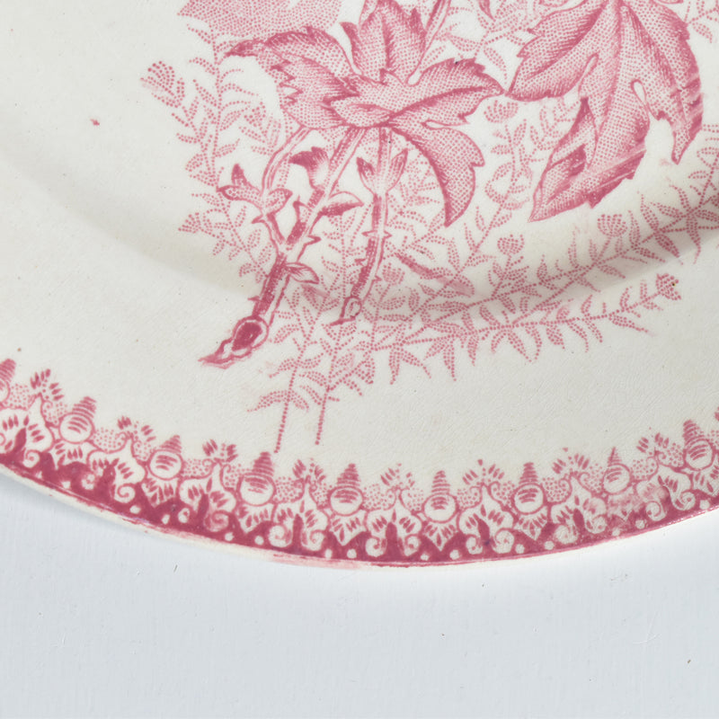 Antique Plate: Onnaing Eglantines B