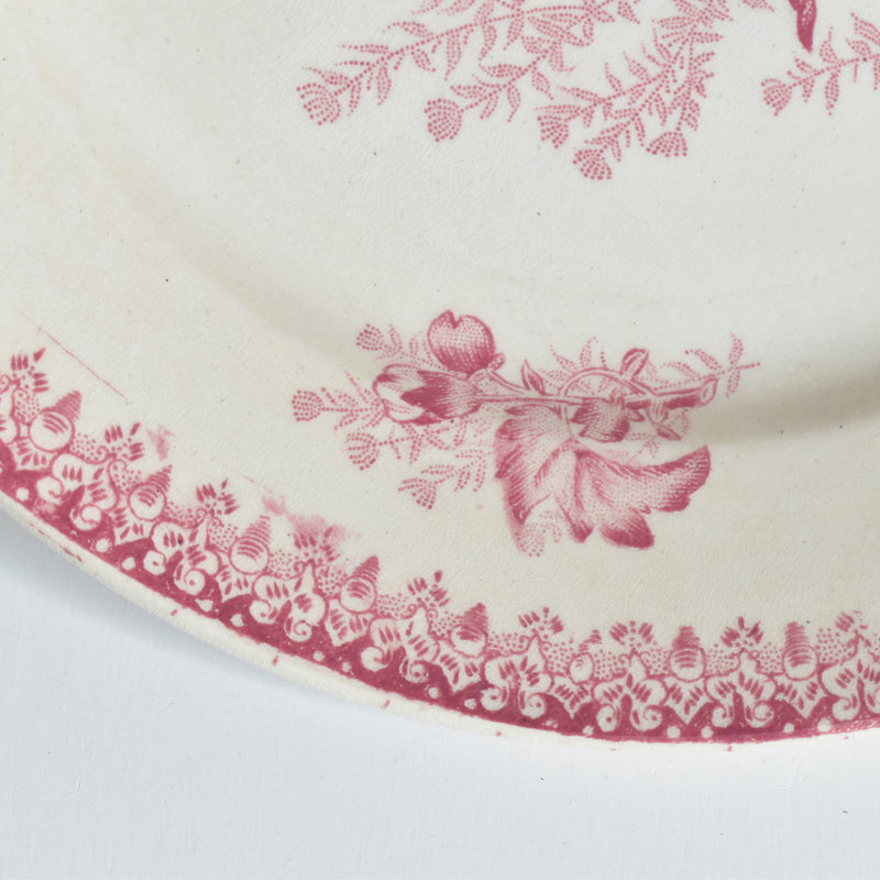 Antique Plate: Onnaing Eglantines B