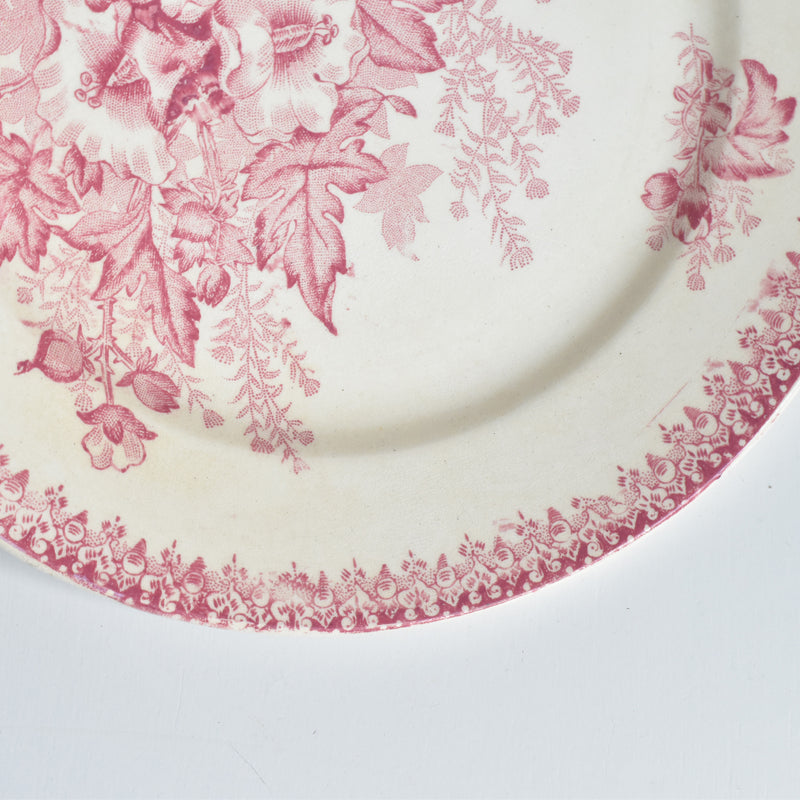 Antique Plate: Onnaing Eglantines B