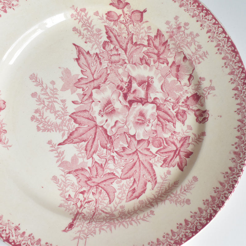 Antique Plate: Onnaing Eglantines B