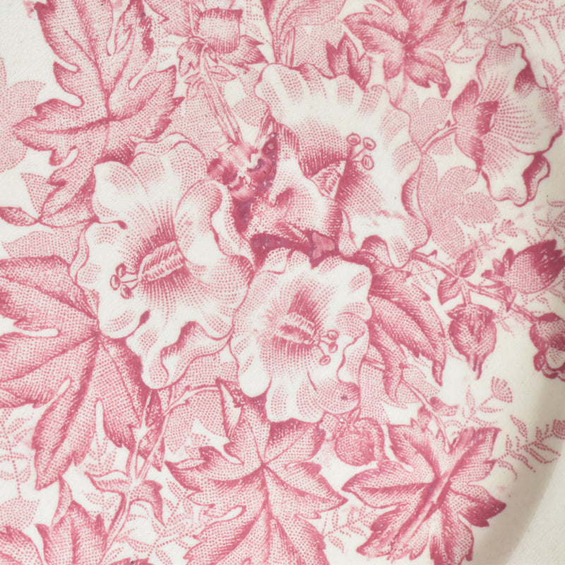 Antique Plate: Onnaing Eglantines B