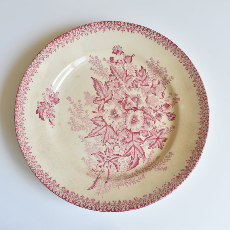 Antique Plate, Onna, Eglantines, D