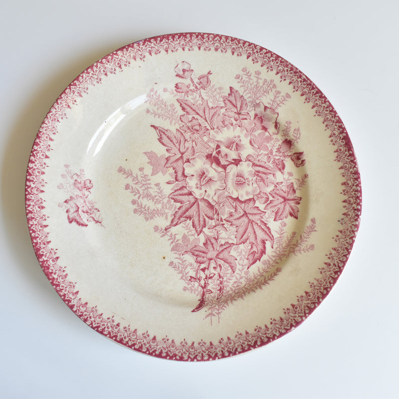 Antique Plate Onnaing Eglantines F