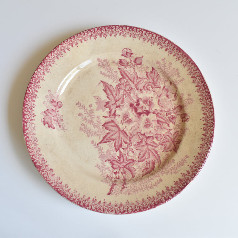 Antique plate Onan Eglantines G