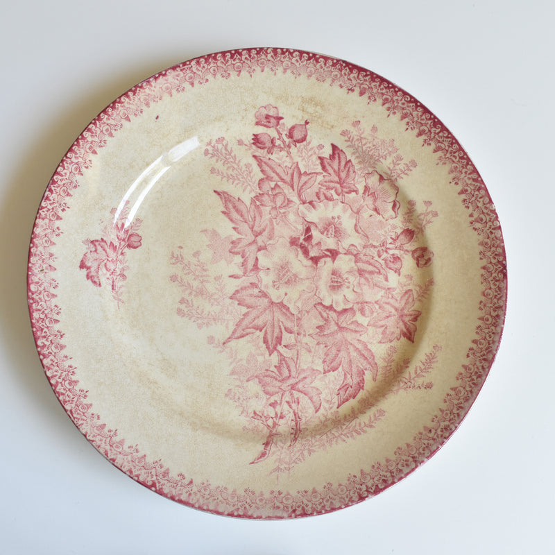 Antique Plate Onna Eglantines H