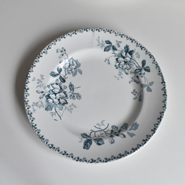 アンティークプレート サンタマン Acacia（アカシア） A