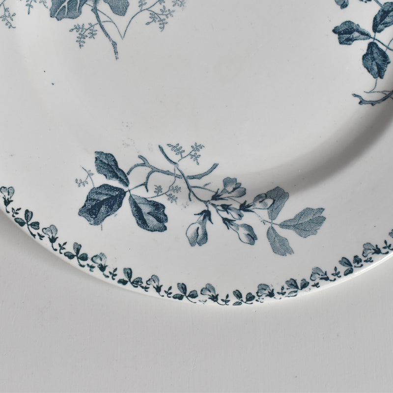 Antique plate, Saint-Amand Acacia B
