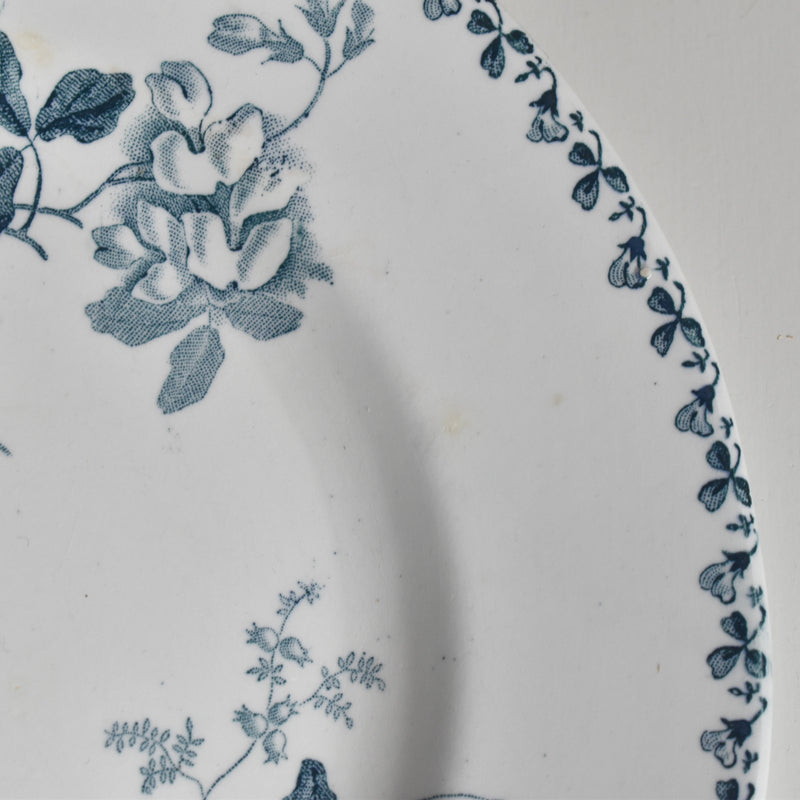 Antique plate, Saint-Amand Acacia B