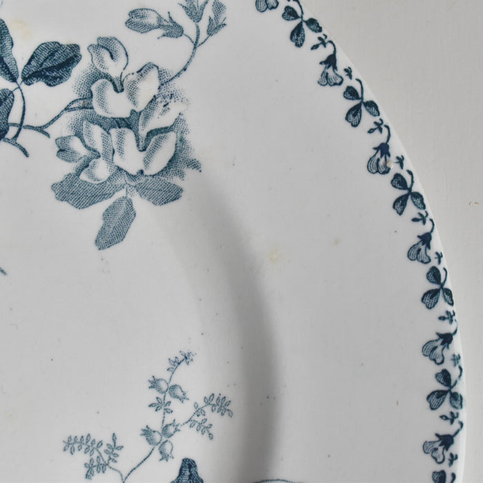 アンティークプレート サンタマン Acacia（アカシア） B