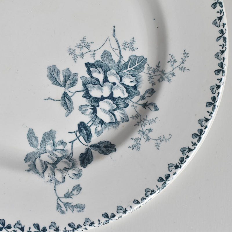Antique plate, Saint-Amand Acacia B