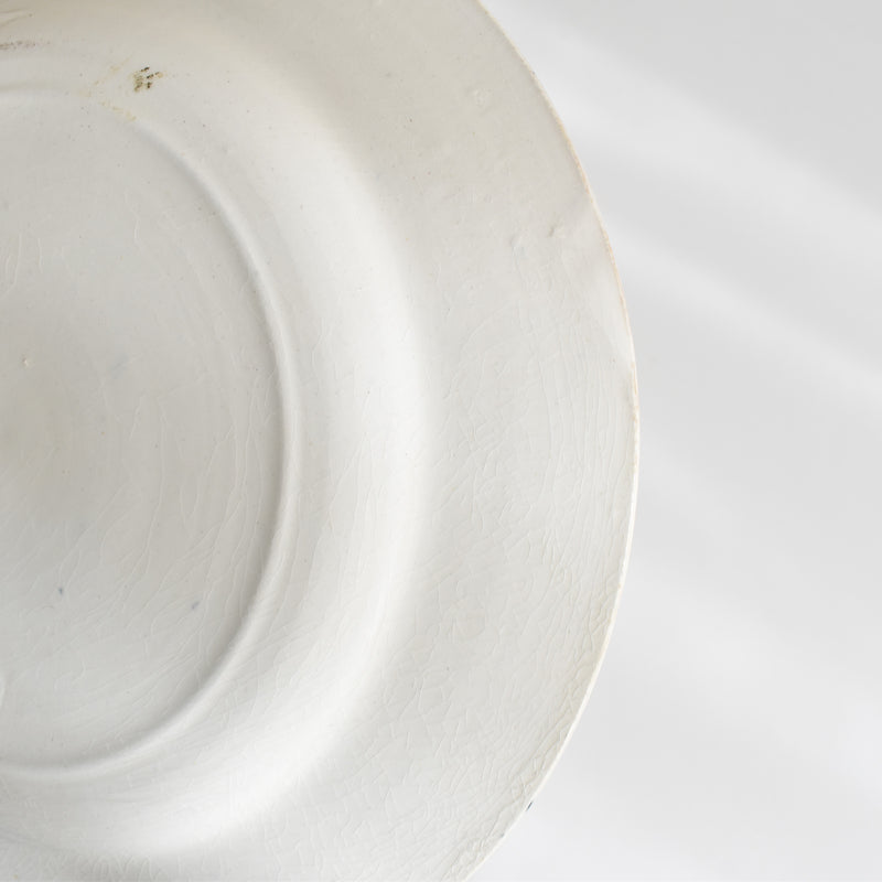 Antique Plate Sarreguemines Robert E.