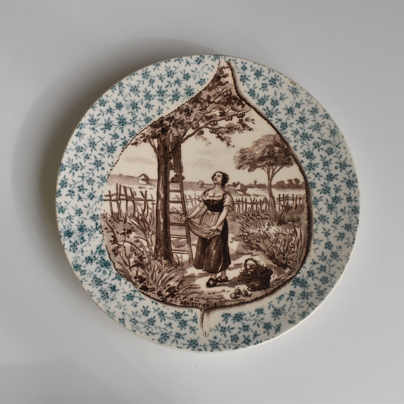 Antique Decorative Plate U&C Sarreguemines "Abricotier"