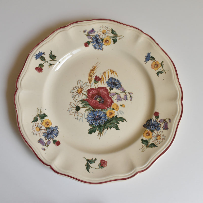 Vintage Plate 22.5cm Digoin & Sarreguemines Agreste A