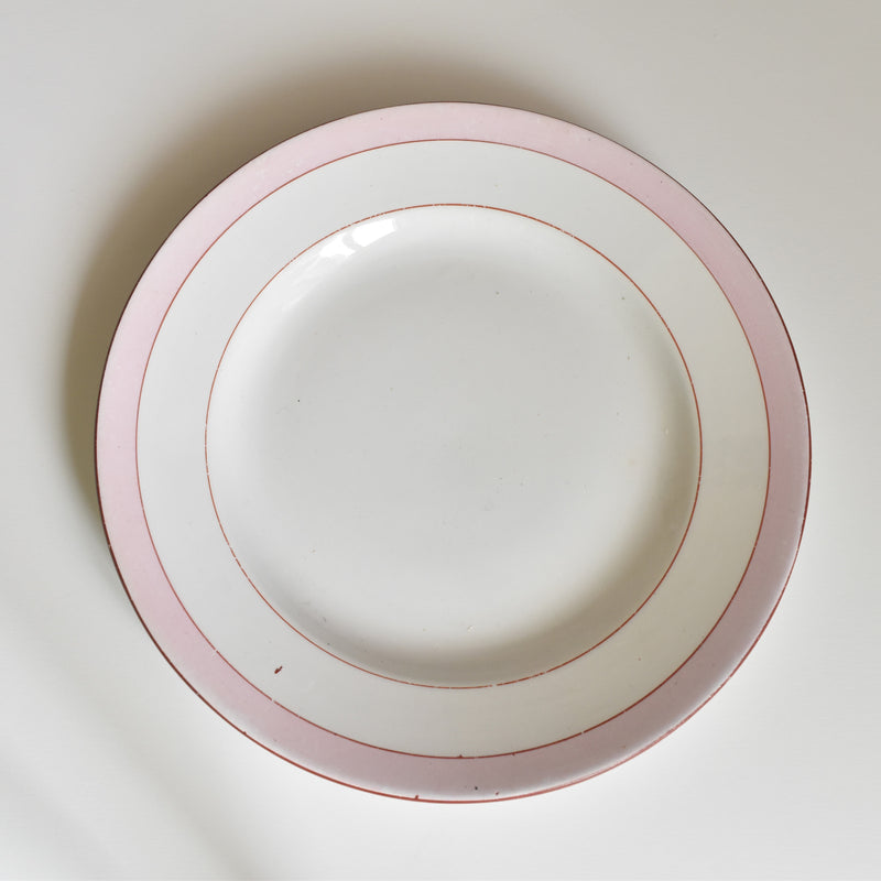 Vintage Plate, Digoin & Sarreguemines Casino A
