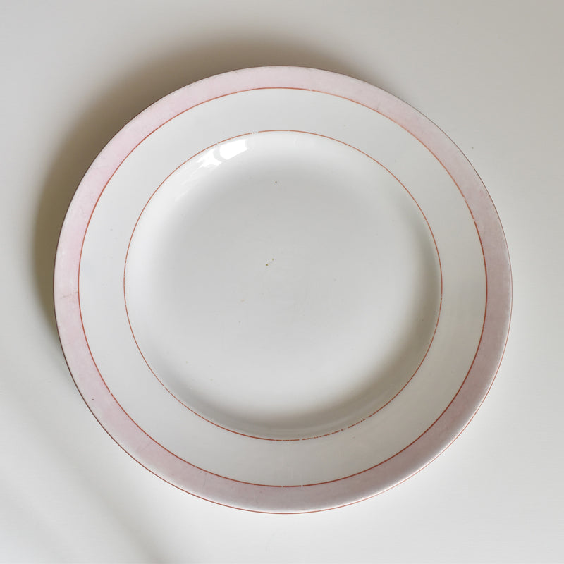 Vintage Plate Digoin & Sarreguemines Casino B