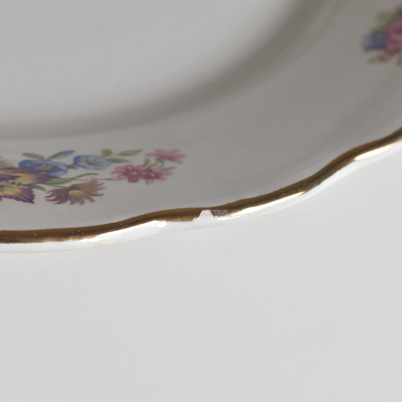 Vintage Plate: Digoin & Sarreguemines Colbert