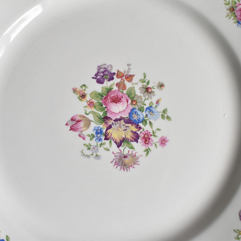 Vintage Plate: Digoin & Sarreguemines Colbert