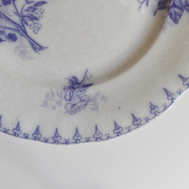 Antique Dessert Plate, U&C Sarreguemines Flore (Purple)