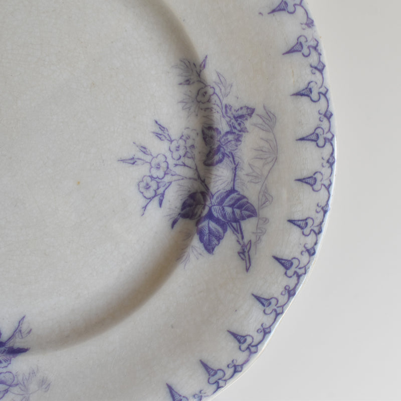 Antique Dessert Plate, U&C Sarreguemines Flore (Purple)