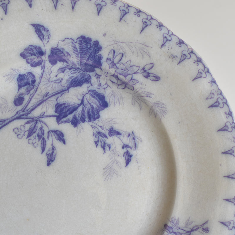 Antique Dessert Plate, U&C Sarreguemines Flore (Purple)