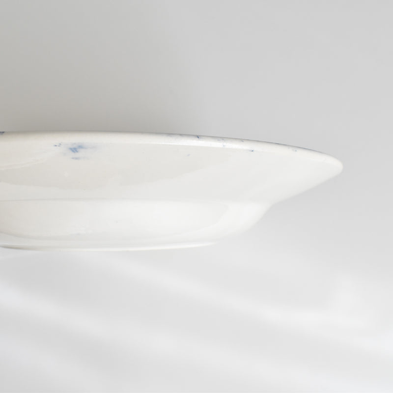 Antique Deep Plate Sarreguemines Fontanges Blue C