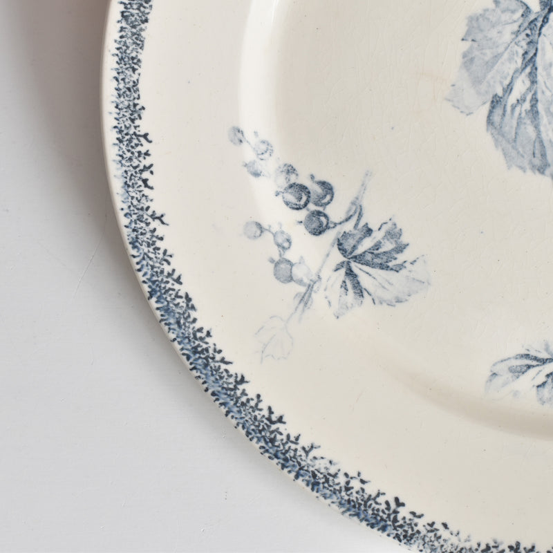 アンティークプレート U&Cサルグミンヌ Groseilles (グロゼイユ）1-A