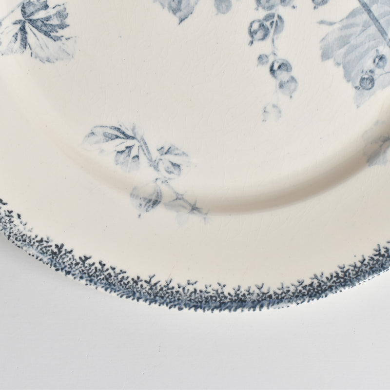 アンティークプレート U&Cサルグミンヌ Groseilles (グロゼイユ）1-A