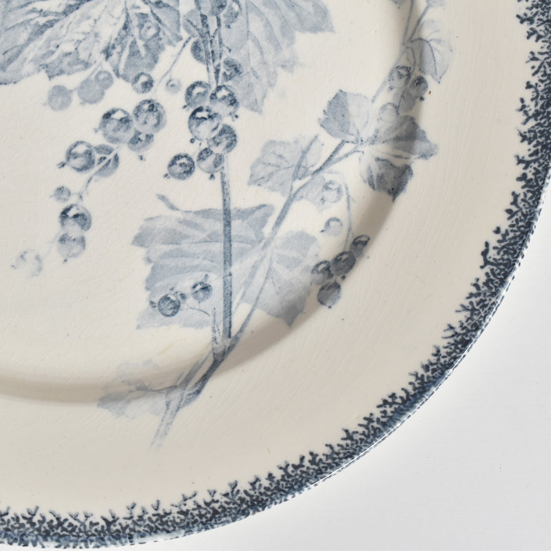 アンティークプレート U&Cサルグミンヌ Groseilles (グロゼイユ）1-A