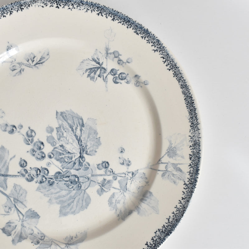 アンティークプレート U&Cサルグミンヌ Groseilles (グロゼイユ）1-A