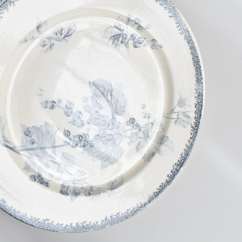 アンティークプレート U&Cサルグミンヌ Groseilles (グロゼイユ）1-A