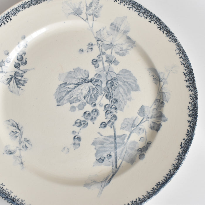 アンティークプレート U&Cサルグミンヌ Groseilles (グロゼイユ）1-A