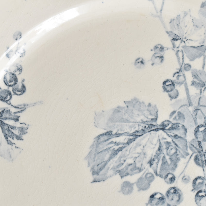 アンティークプレート U&Cサルグミンヌ Groseilles (グロゼイユ）1-A