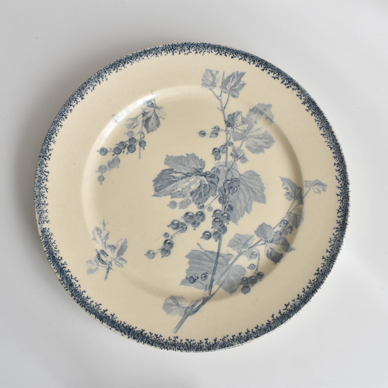 アンティークプレート U&Cサルグミンヌ Groseilles (グロゼイユ）1-B