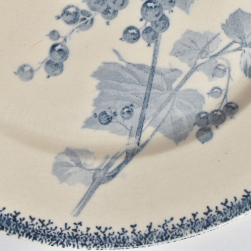 アンティークプレート U&Cサルグミンヌ Groseilles (グロゼイユ）1-B