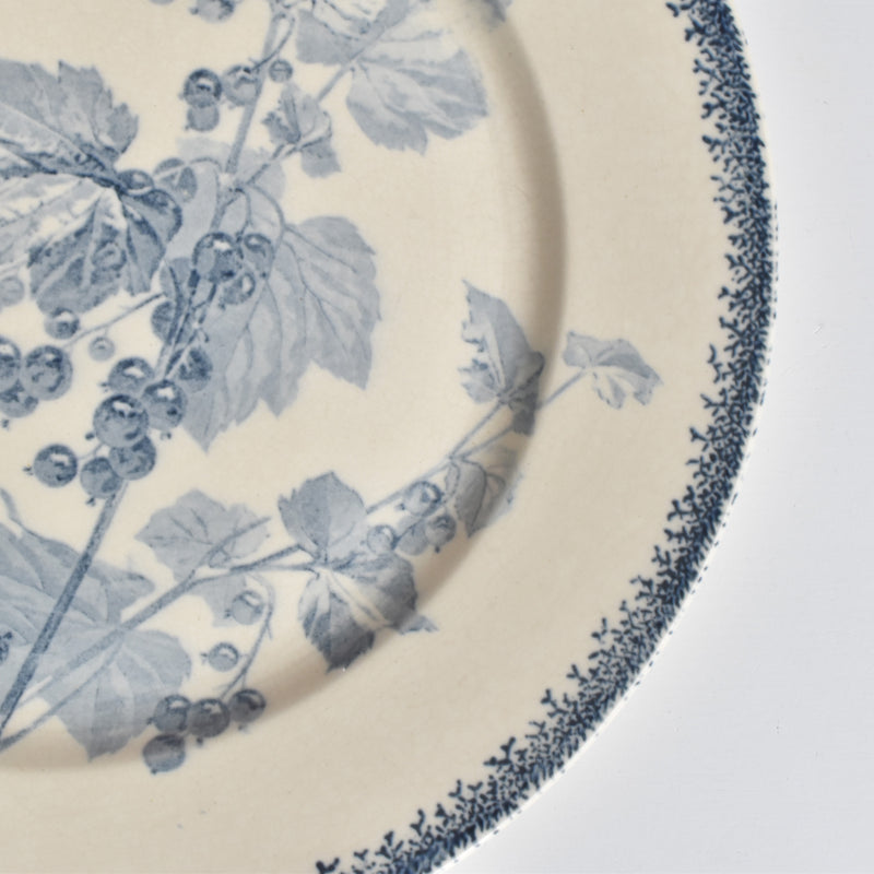 アンティークプレート U&Cサルグミンヌ Groseilles (グロゼイユ）1-B