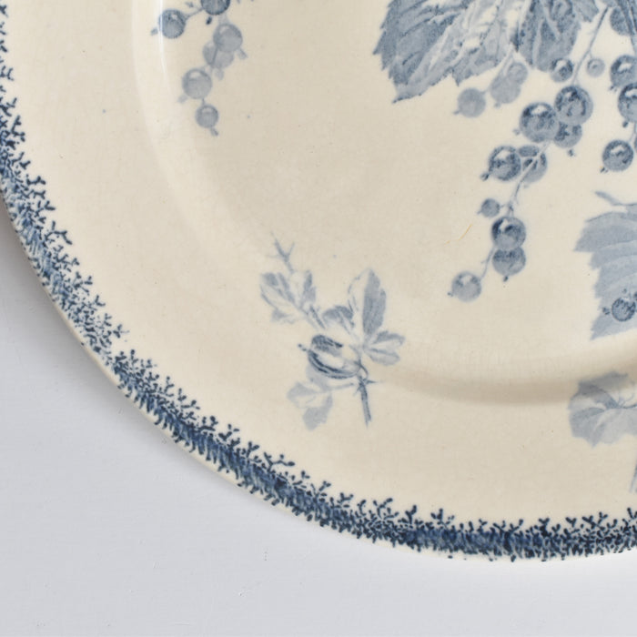 アンティークプレート U&Cサルグミンヌ Groseilles (グロゼイユ）1-B