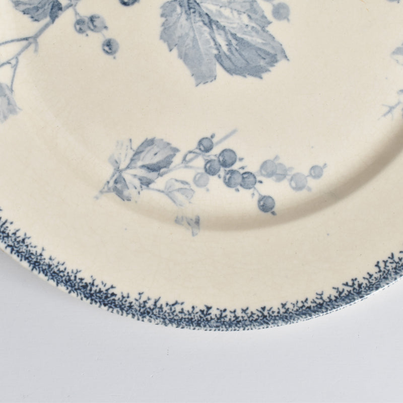 アンティークプレート U&Cサルグミンヌ Groseilles (グロゼイユ）1-B