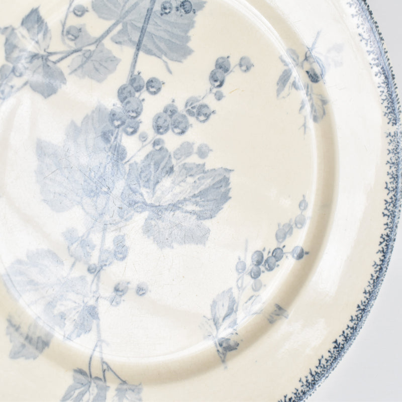 アンティークプレート U&Cサルグミンヌ Groseilles (グロゼイユ）1-B