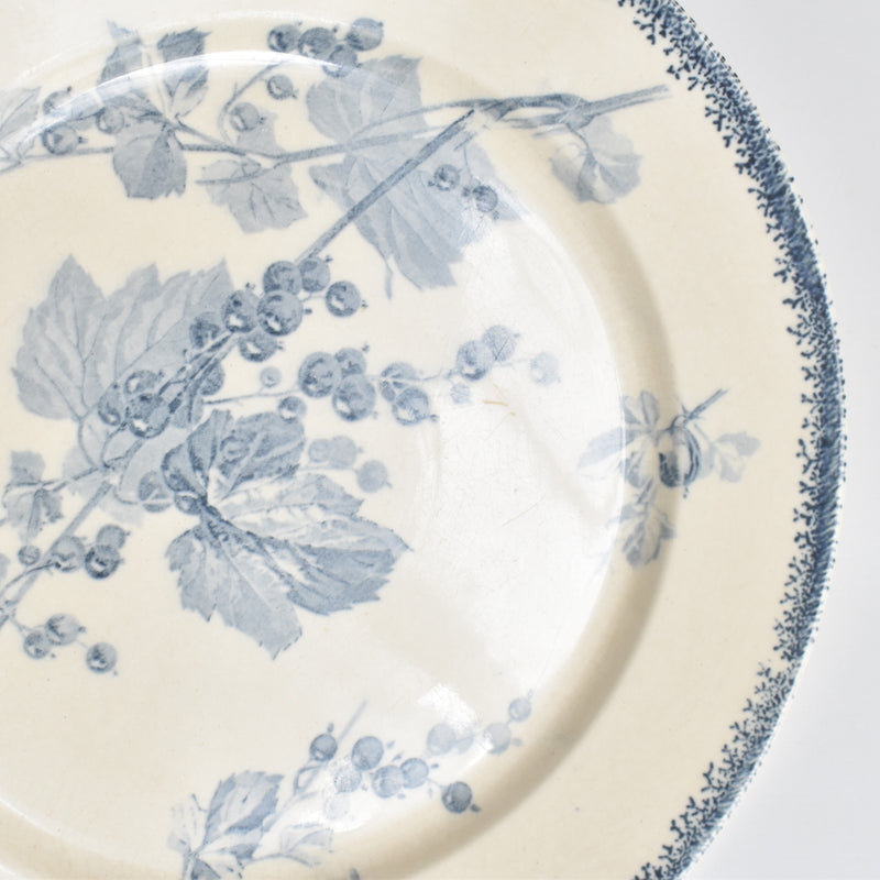 アンティークプレート U&Cサルグミンヌ Groseilles (グロゼイユ）1-B