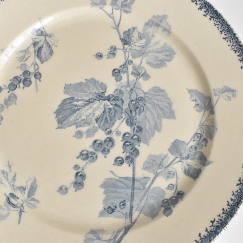 アンティークプレート U&Cサルグミンヌ Groseilles (グロゼイユ）1-B