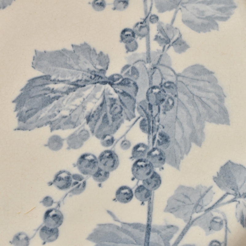 アンティークプレート U&Cサルグミンヌ Groseilles (グロゼイユ）1-B