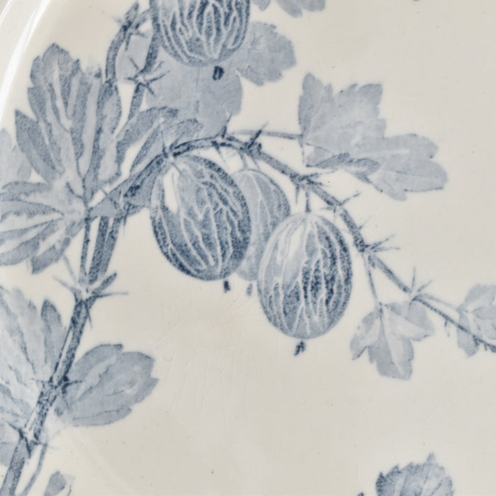 アンティークプレート U&Cサルグミンヌ Groseilles (グロゼイユ）2-A