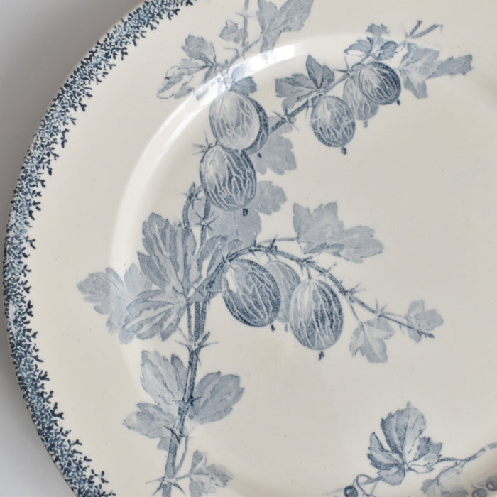 アンティークプレート U&Cサルグミンヌ Groseilles (グロゼイユ）2-A