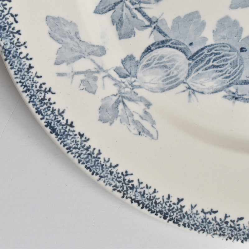 アンティークプレート U&Cサルグミンヌ Groseilles (グロゼイユ）2-A