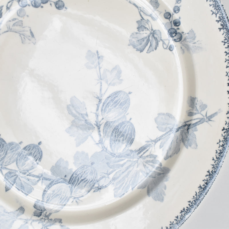 アンティークプレート U&Cサルグミンヌ Groseilles (グロゼイユ）2-A