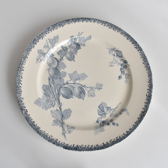 アンティークプレート U&Cサルグミンヌ Groseilles (グロゼイユ）2-A