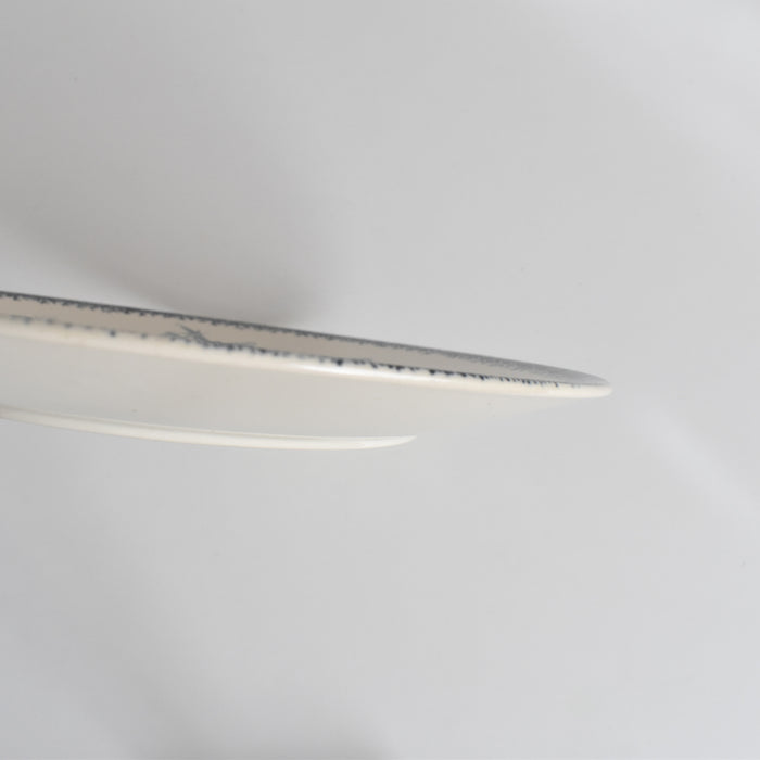 アンティークプレート U&Cサルグミンヌ Groseilles (グロゼイユ）2-A