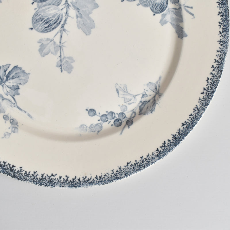 アンティークプレート U&Cサルグミンヌ Groseilles (グロゼイユ）2-A