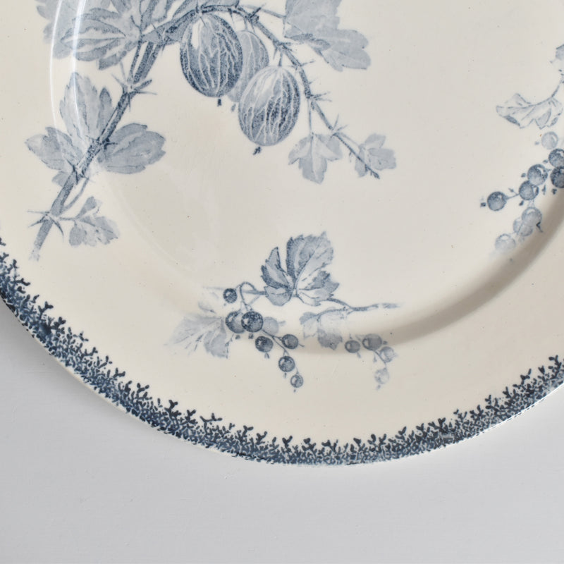 アンティークプレート U&Cサルグミンヌ Groseilles (グロゼイユ）2-A