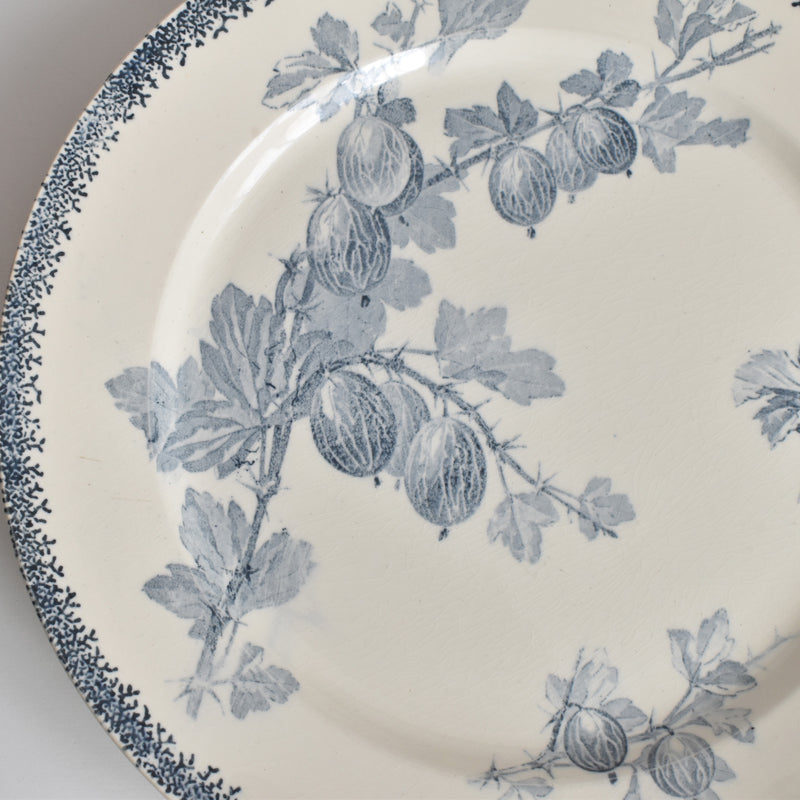 アンティークプレート U&Cサルグミンヌ Groseilles (グロゼイユ）2-B